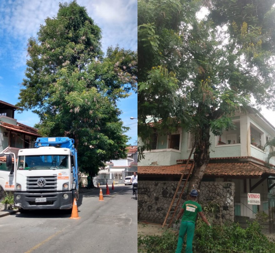 AÇÕES EQUIPES DE ARBORIZAÇÃO URBANA DIA 14/12/2021