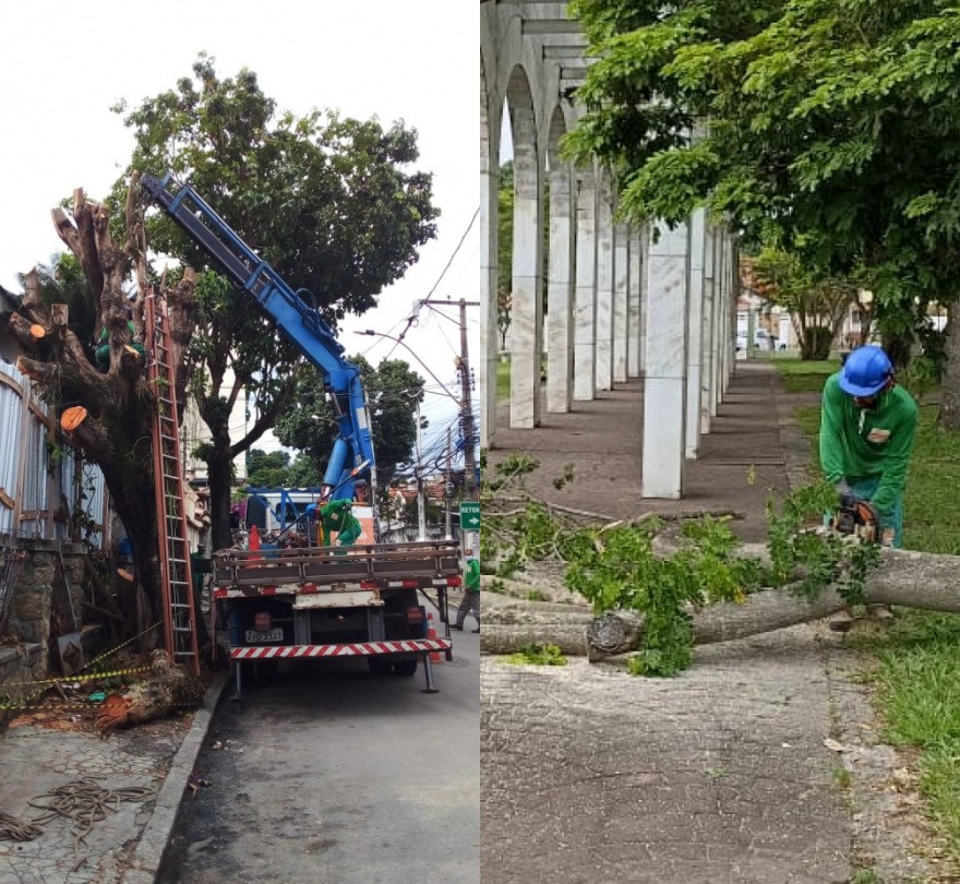 AÇÕES EQUIPES DE ARBORIZAÇÃO URBANA DIAS 17/12 E 18/12/2021