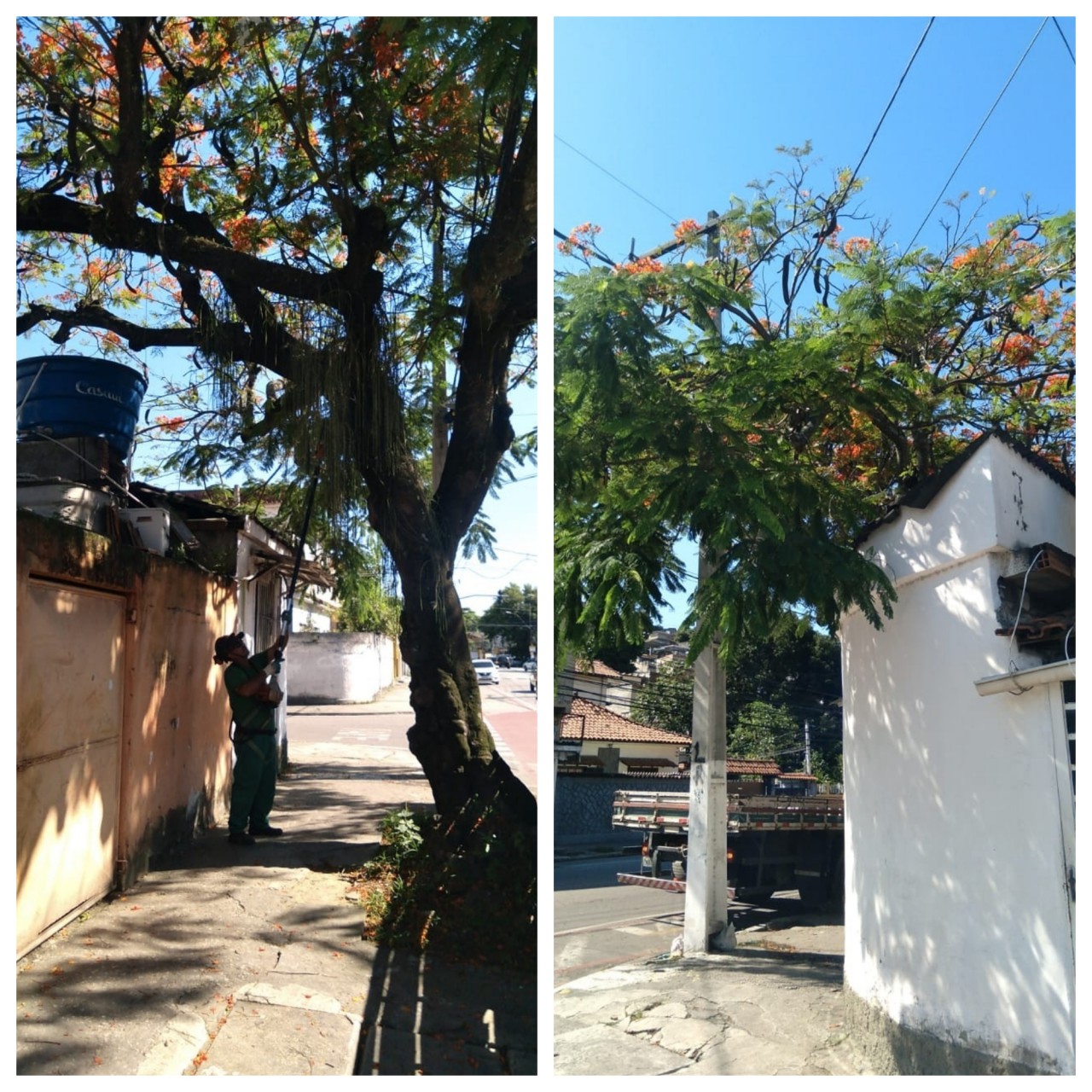 AÇÕES EQUIPES DE ARBORIZAÇÃO URBANA DIA 21/12/2021