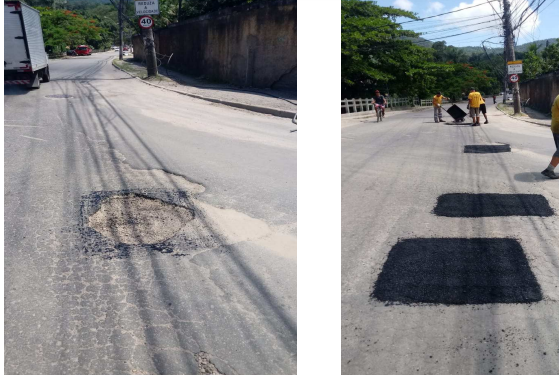 avenida-irene