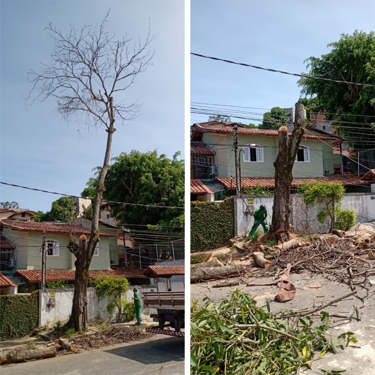 AÇÕES EQUIPES DE ARBORIZAÇÃO URBANA DIA 26/01/2022