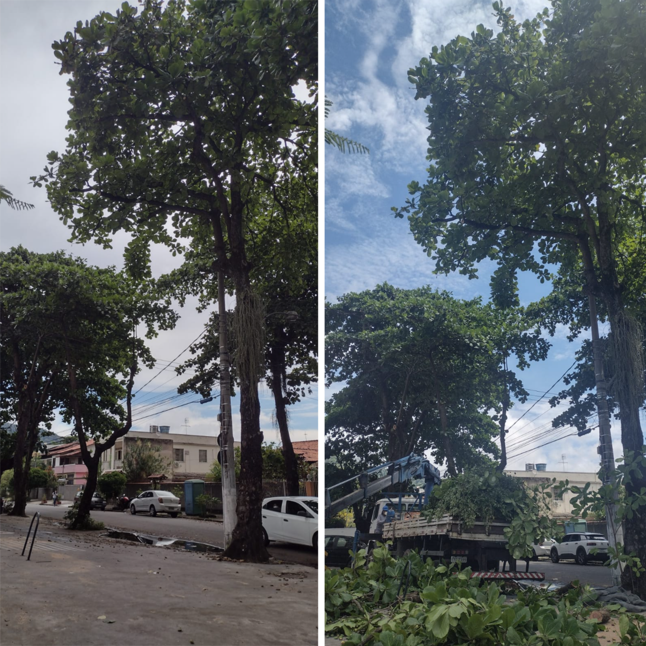 AÇÕES EQUIPES DE ARBORIZAÇÃO URBANA DIA 02/02/2022