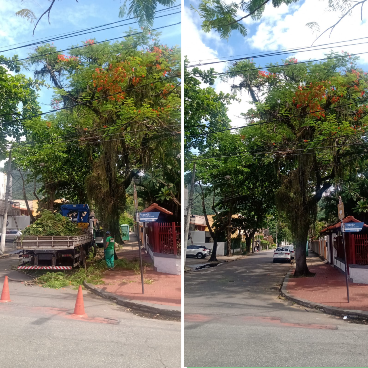 AÇÕES EQUIPES DE ARBORIZAÇÃO URBANA DIA 03/02/2022