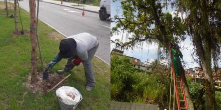 AÇÕES EQUIPES DE ARBORIZAÇÃO URBANA DIAS 04/02 E  05/02/2022