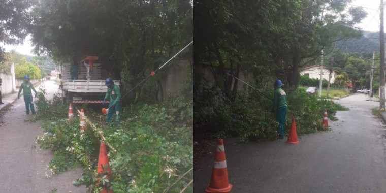 AÇÕES EQUIPES DE ARBORIZAÇÃO URBANA DIA 10/02/2022