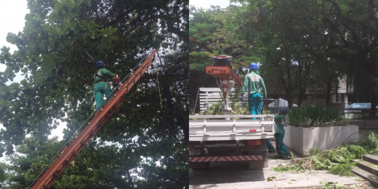 AÇÕES EQUIPES DE ARBORIZAÇÃO URBANA DIA 15/02/2022