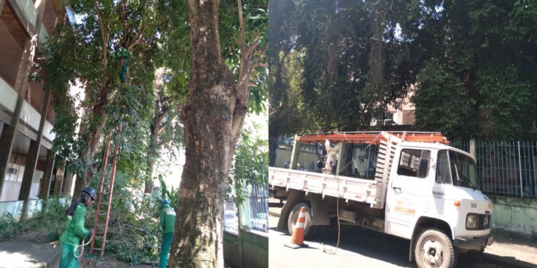 AÇÕES EQUIPES DE ARBORIZAÇÃO URBANA DIA 16/02/2022