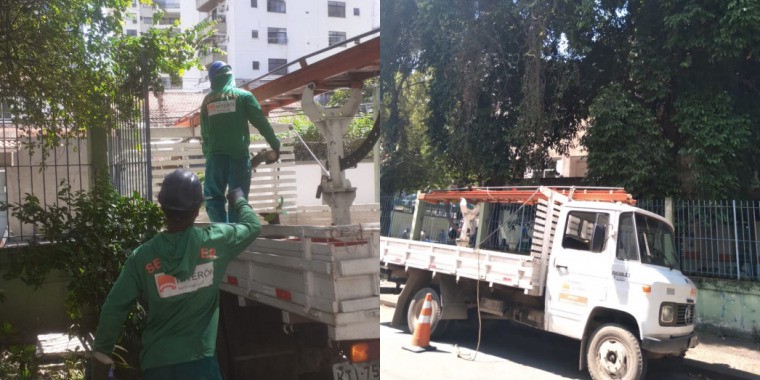 AÇÕES EQUIPES DE ARBORIZAÇÃO URBANA DIA 17/02/2022