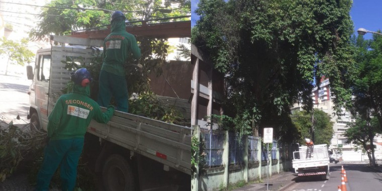 AÇÕES EQUIPES DE ARBORIZAÇÃO URBANA DIA 22/02/2022