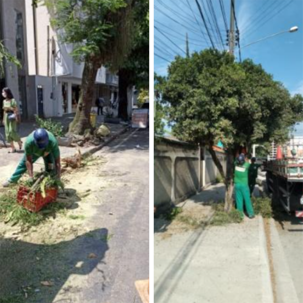 AÇÕES EQUIPE ARBORIZAÇÃO URBANA DIA 15/03/2022