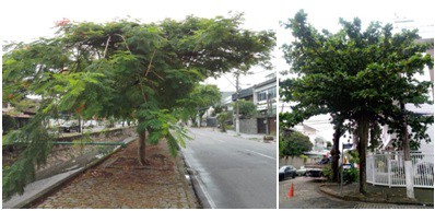 AÇÕES EQUIPES DE ARBORIZAÇÃO URBANA DIAS 01 E 02/04/2022