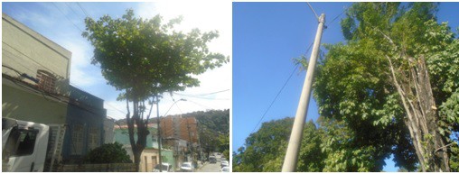 AÇÕES EQUIPES DE ARBORIZAÇÃO URBANA DIA 18/08/2022