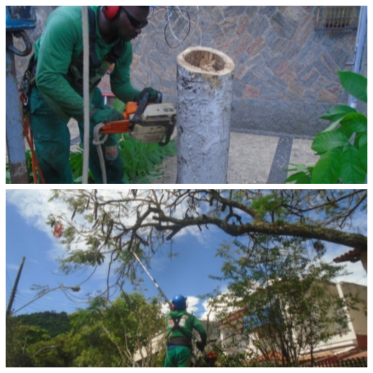 AÇÕES EQUIPES DE ARBORIZAÇÃO URBANA 29/11/2022