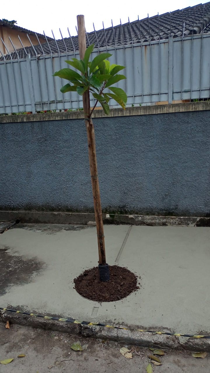 plantiacco