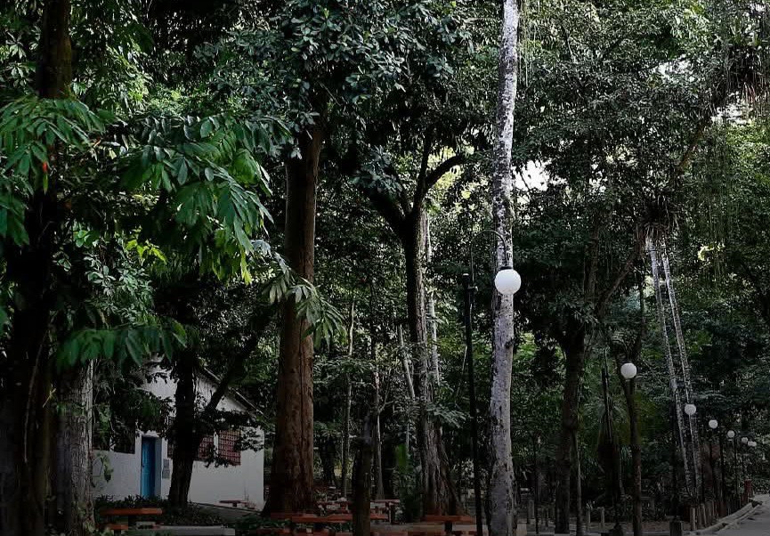 As atrações no Horto do Fonseca, refúgio verde na Zona Norte de Niterói