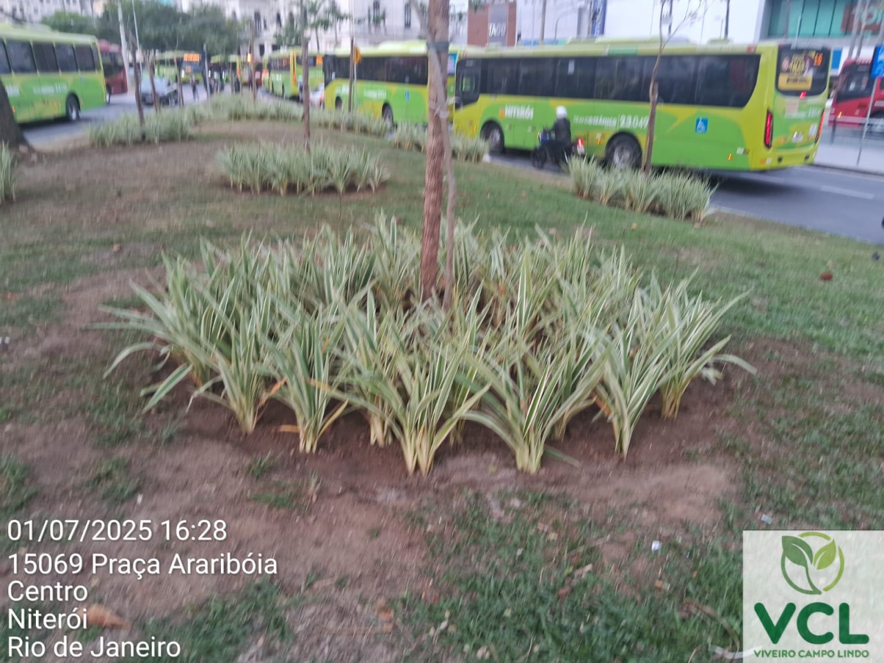 IMG-20250701-WA1143