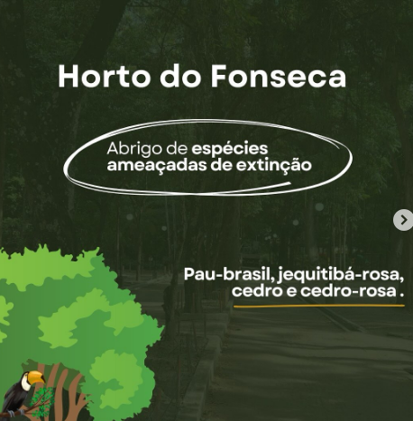Horto do Fonseca conta com 829 árvores com algumas espécies ameaçadas de extinção