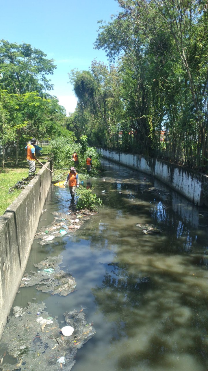 Balanço dos serviços da Seconser em 2025