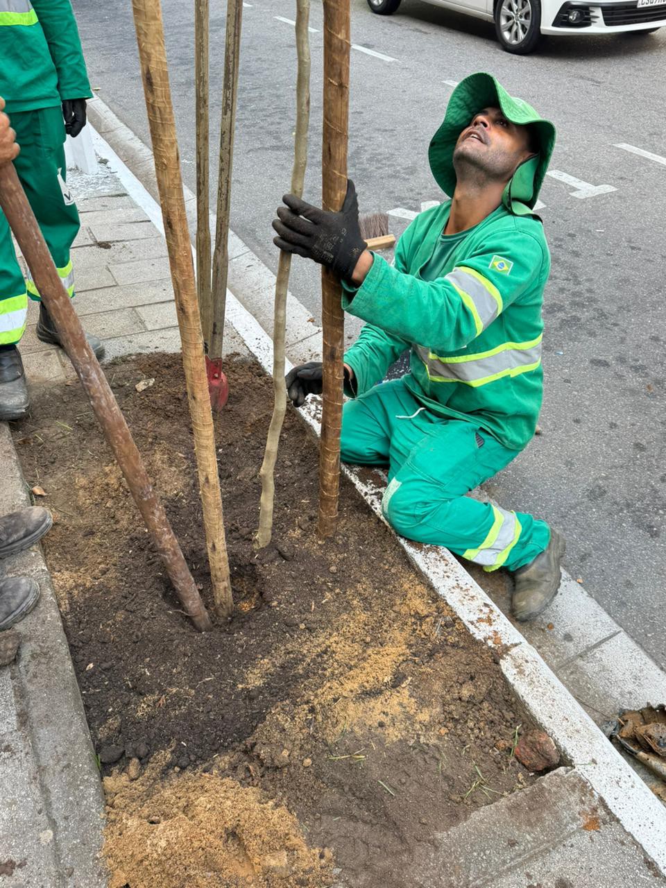 Projetos Verdes Notáveis e Fruta no Pé mostram a importância de espécies nativas de Mata Atlântica para a cidade