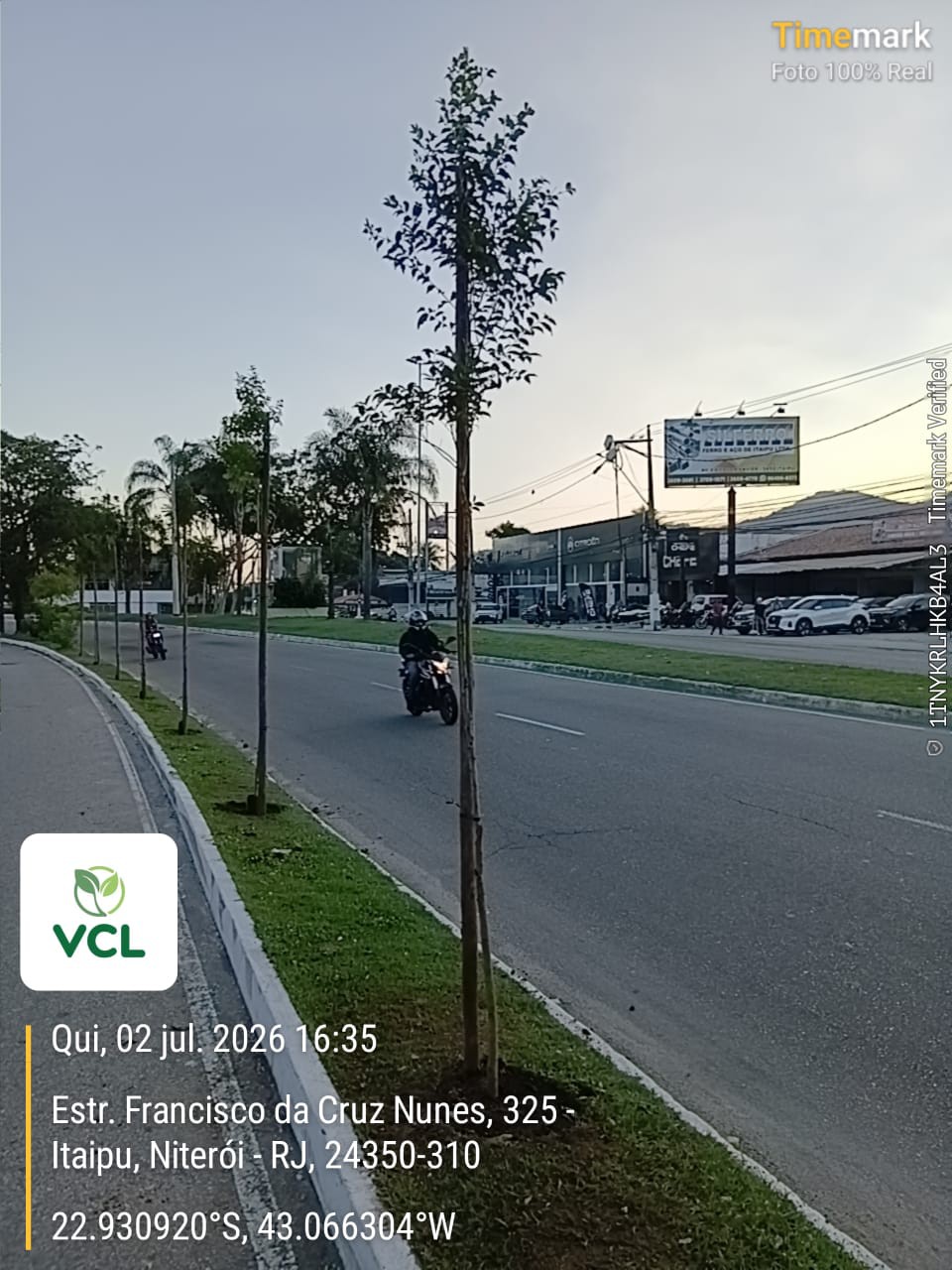 Cidade mais verde: Niterói plantou mais de 800 árvores nativas desde março e ampliou áreas arborizadas