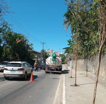 Mais de 1,5 mil árvores foram plantadas em Niterói desde março