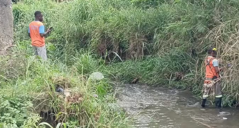 Limpeza do Rio Canoas
