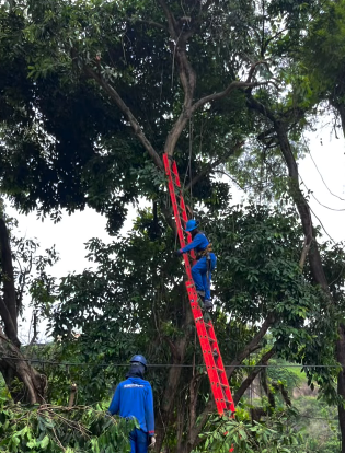Engenhoca e Tenente Jardim recebem melhorias em ruas, praças e espaços de lazer