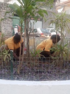 Conclusão da pintura, limpeza e replantio de mudas - Praça Guadalajara no Fonseca