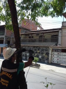 Retirada de cabos inativos na rua Carlos Maximiliano, no Fonseca