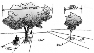 MANUAL DE ARBORIZAÇÃO