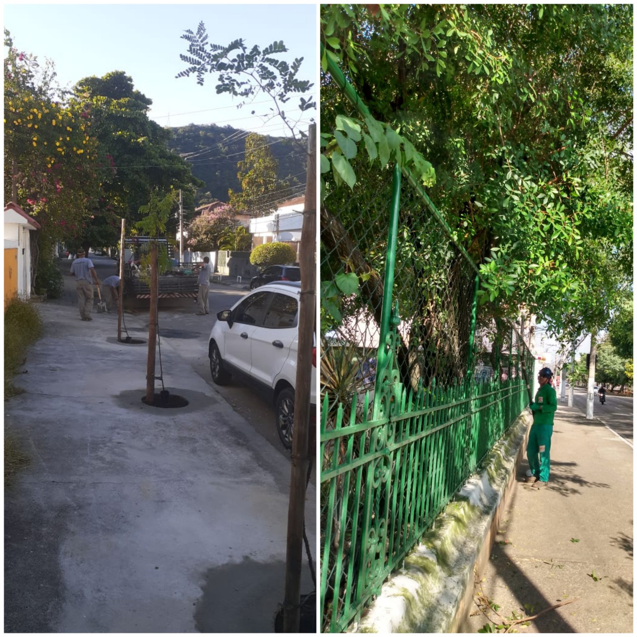 AÇÕES EQUIPES DE ARBORIZAÇÃO URBANA DIA 26/03