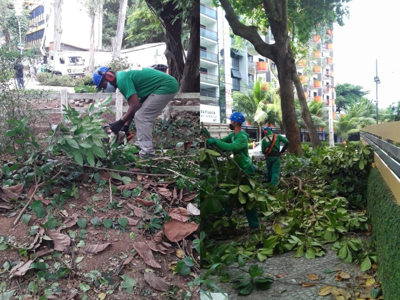 AÇÕES DAS EQUIPES DE ARBORIZAÇÃO NO DIA 16/06