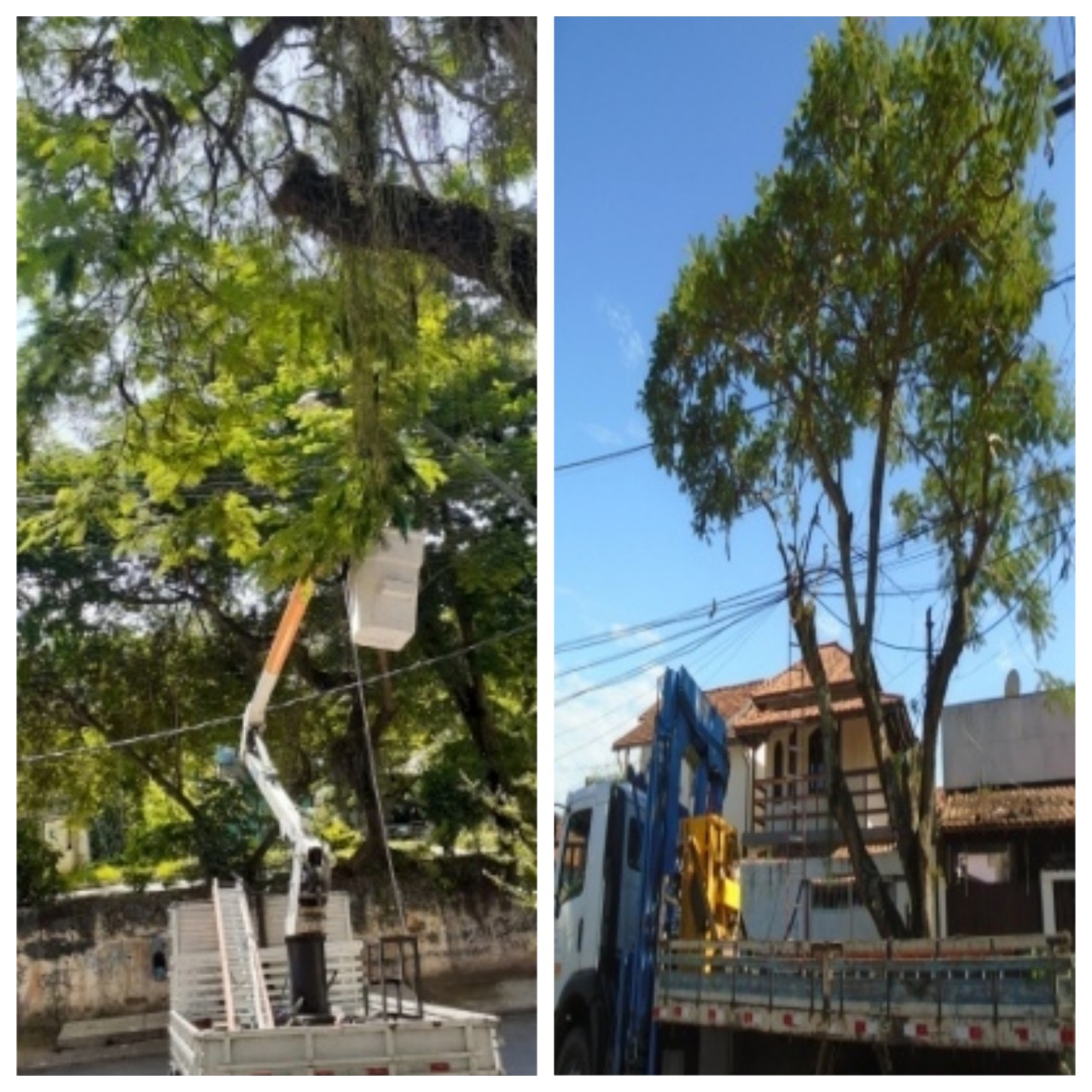 AÇÕES EQUIPE DE ARBORIZAÇÃO URBANA NOS DIAS 16/03/2020