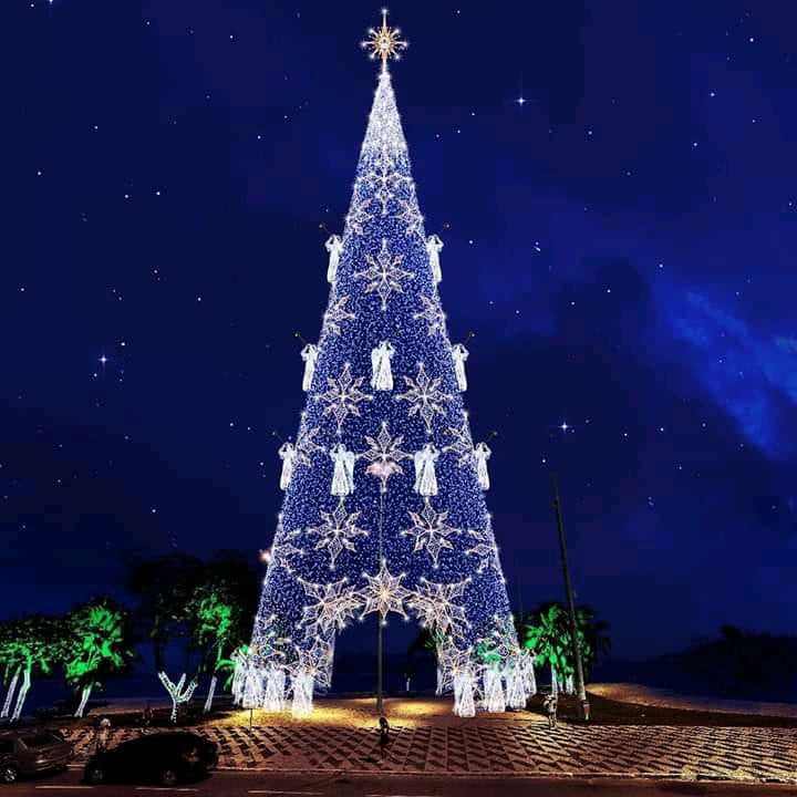 Árvore de Natal ficará pronta no dia 8 de dezembro - Notícias | Seconser