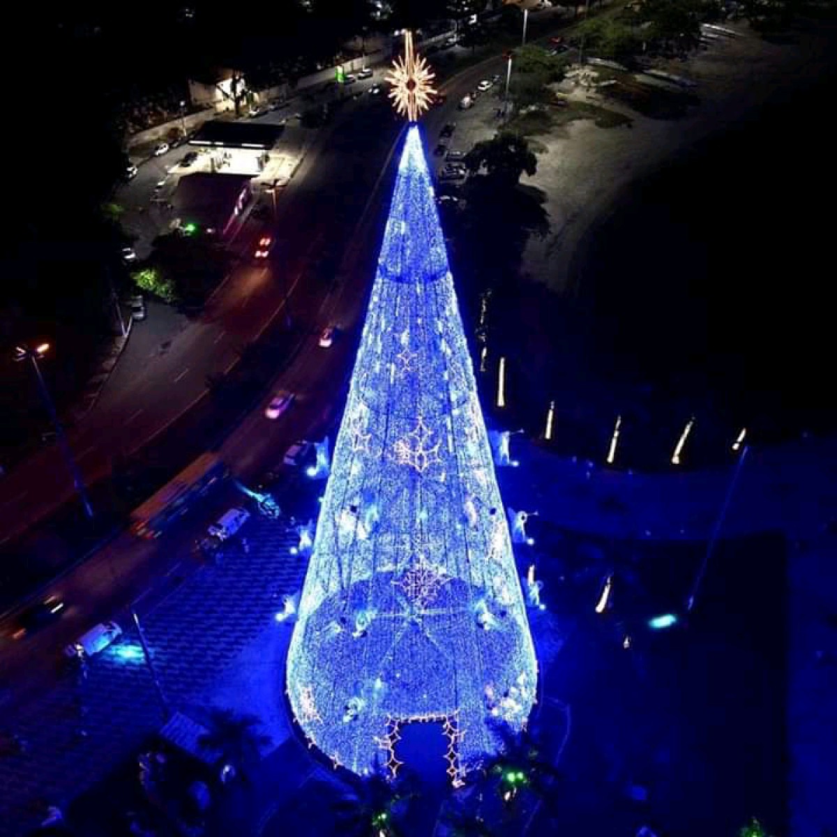 Árvore de Natal terá novo horário de funcionamento - Notícias | Seconser Árvore de Natal terá novo horário de funcionamento - Notícias | Seconser
