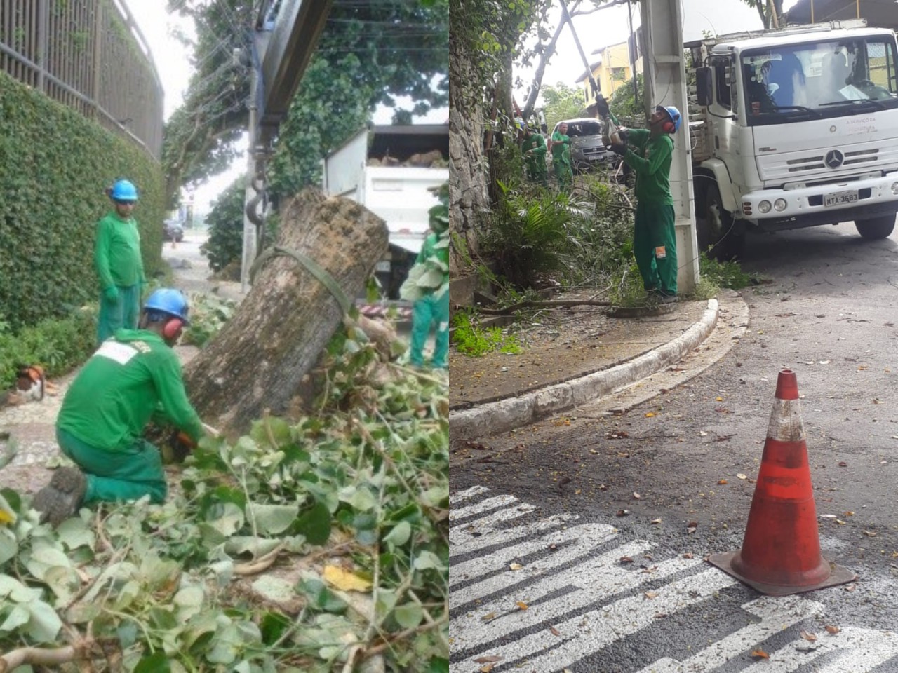 Ações das equipes de Arborização Urbana no dia 13/04