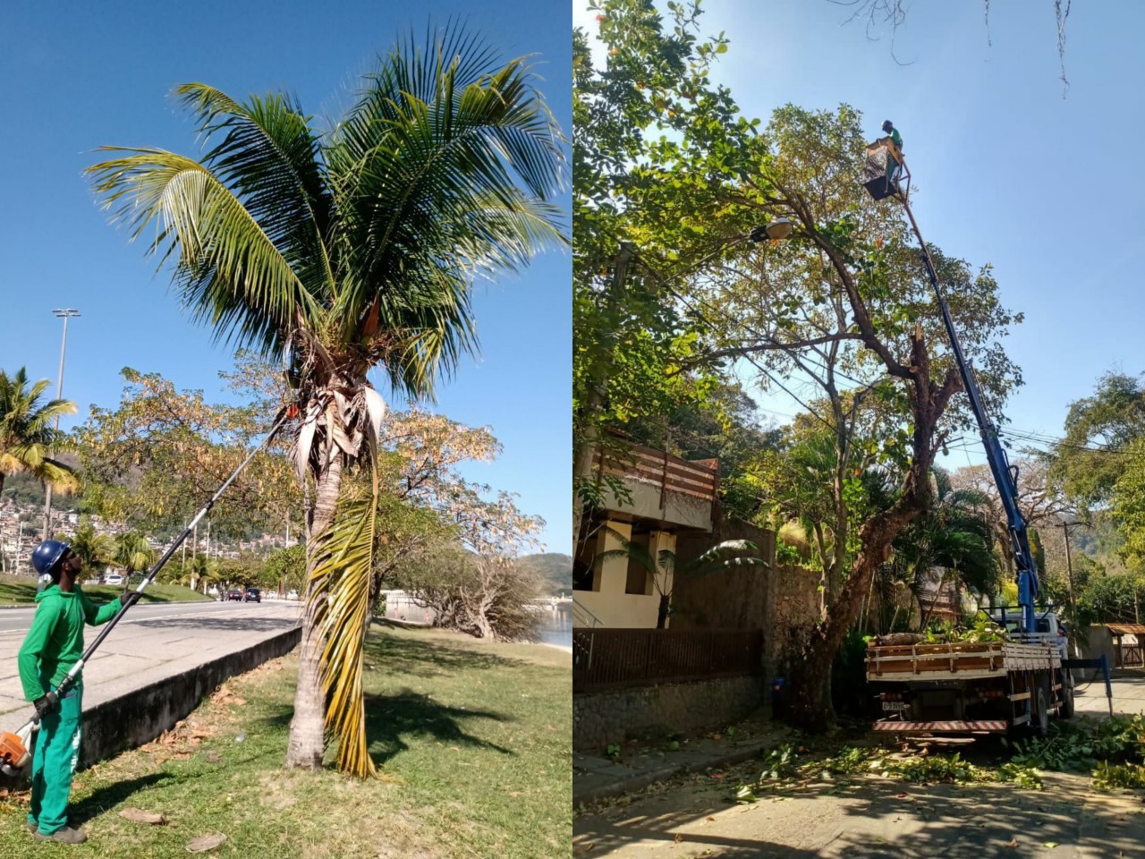 AÇÕES EQUIPES DE ARBORIZAÇÃO URBANA DIA 10/08/2021