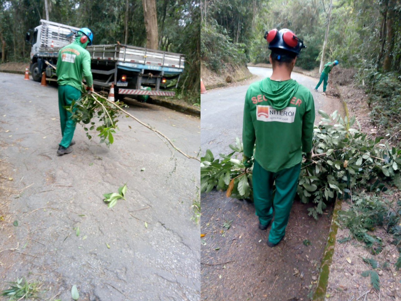 Ações das equipes de Arborização Urbana (16/09/2021)