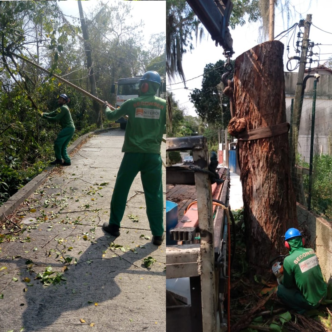 AÇÕES DA EQUIPE DE ARBORIZAÇÃO URBANA DIAS 01/10, 02/10 E 03/10/2021