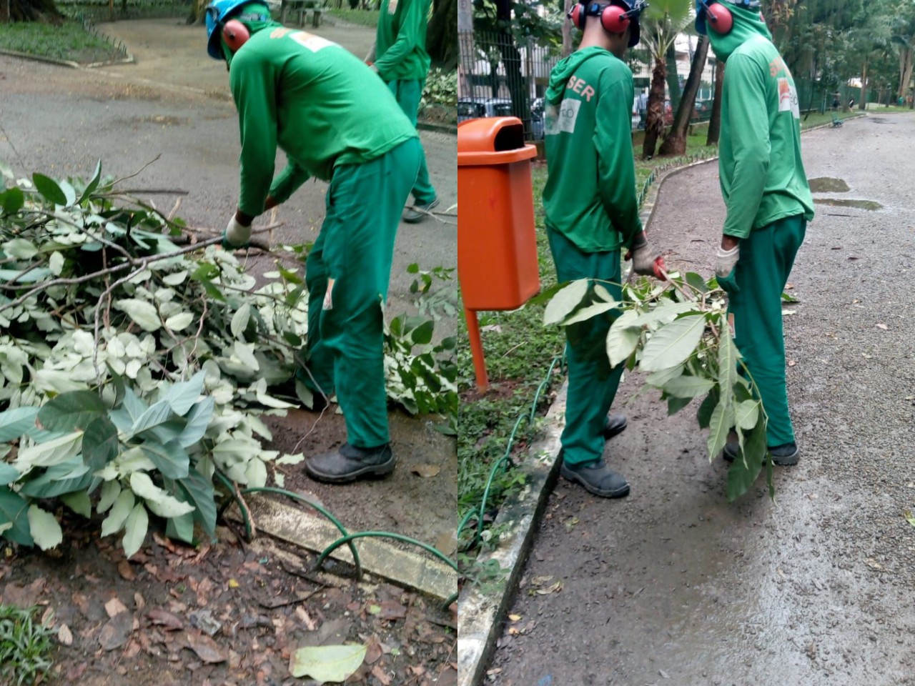 Ações das equipes de Arborização Urbana (29, 30 e 31/10/2021)