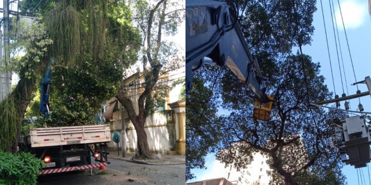 AÇÕES EQUIPES DE ARBORIZAÇÃO URBANA DIA 21/02/2022