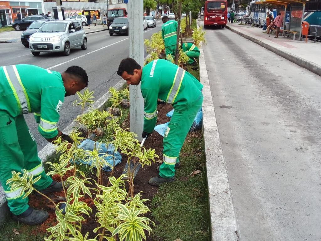 Seconser está plantando milhares de mudas em Niterói