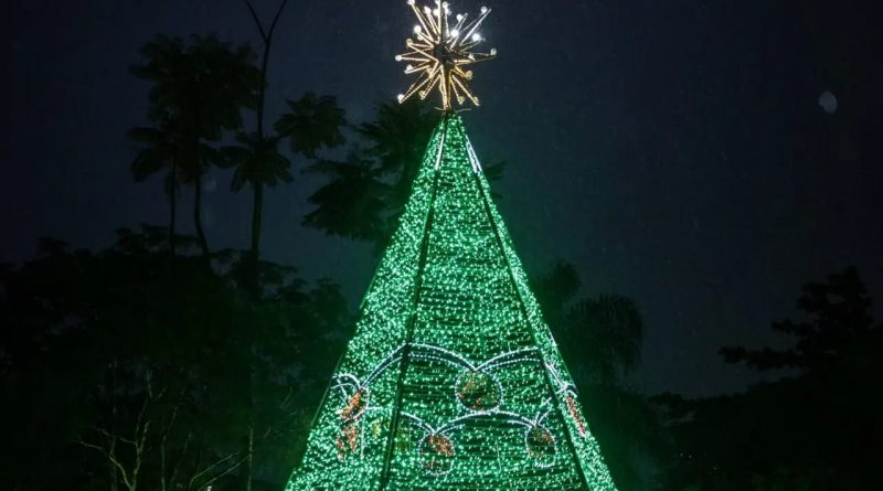 Árvore de Natal do Barreto já pode ser visitada - Notícias | Seconser